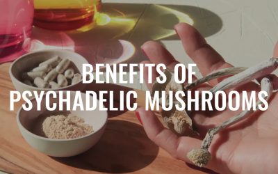 The Magical Mystery Shrooms: Health Benefits of Psychedelic Mushrooms